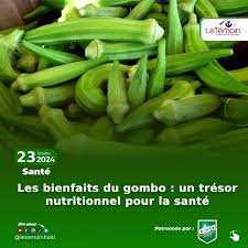 vente de gombo frais